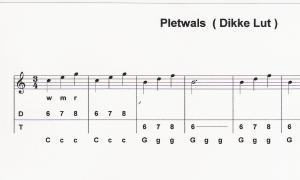 pletwals fragment pletwals fragment